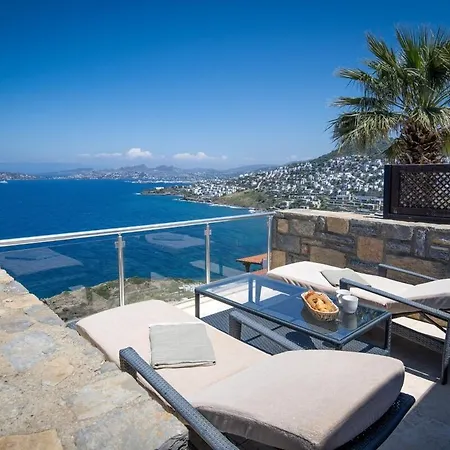 Mandarine Villa *